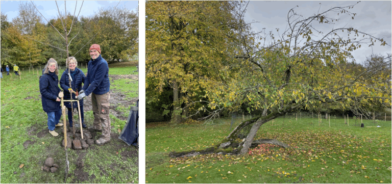 Einheitsbuddeln auf der Pastoratswiese in Krusendorf