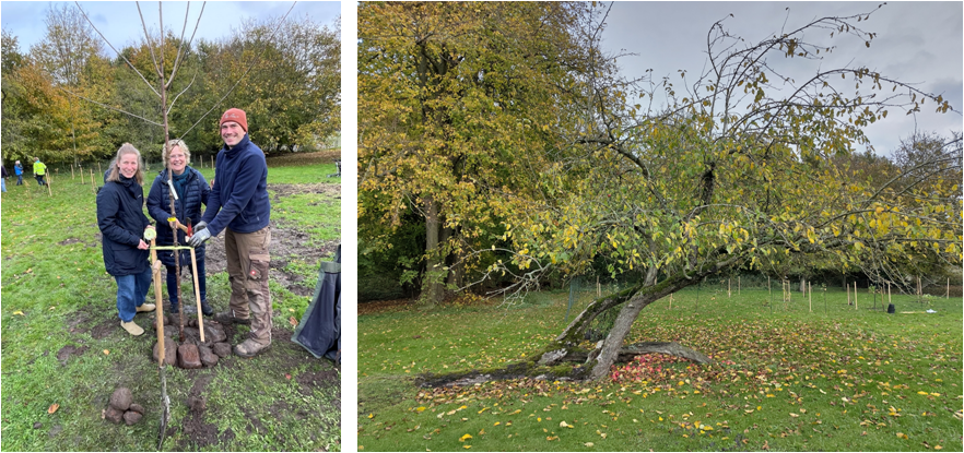 Einheitsbuddeln November 2025